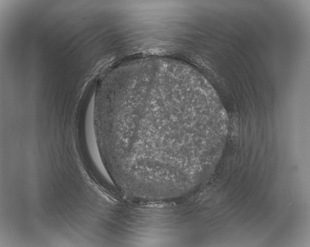 X0000066120738200603311535