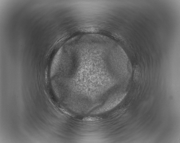 X0000066120739200603311535