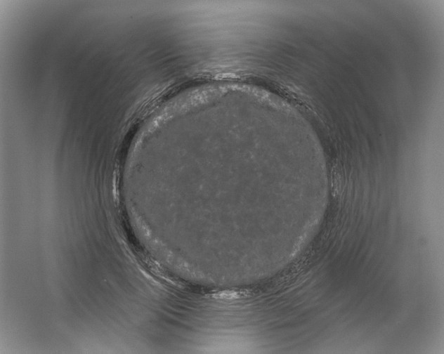 X0000066120740200603311535