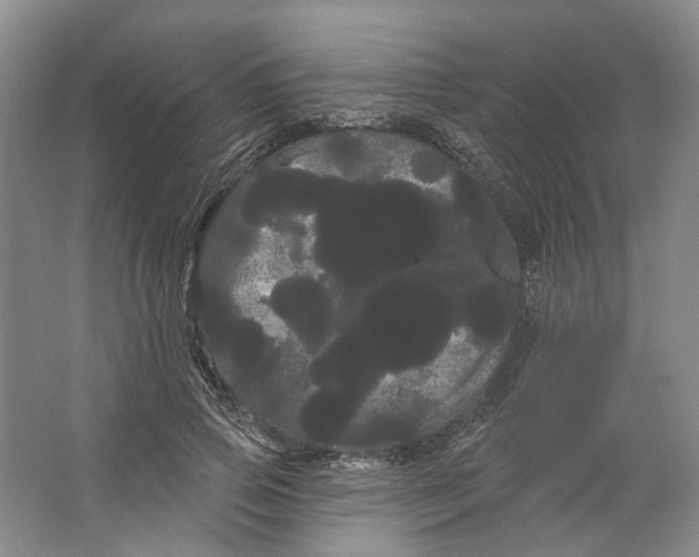 X0000066120741200603311535