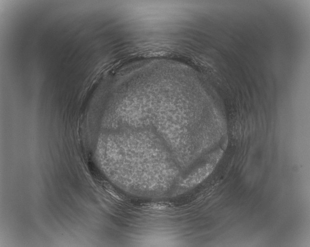 X0000066120743200603311535