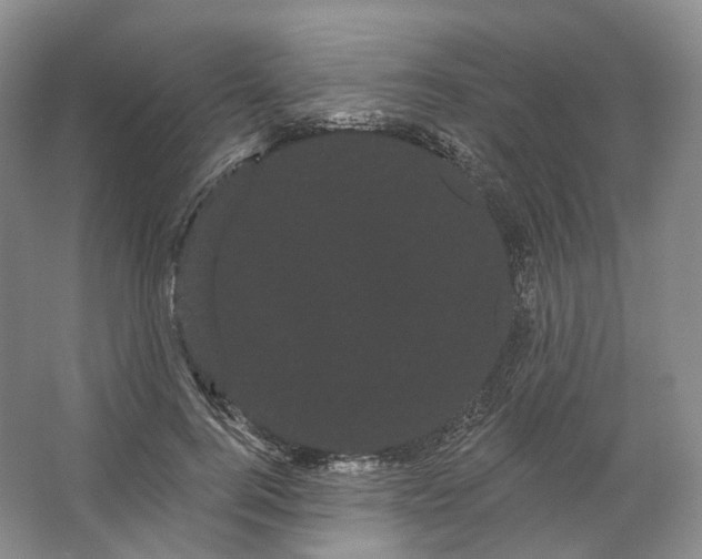 X0000066120744200603311535