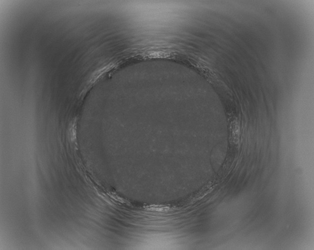 X0000066120746200603311535