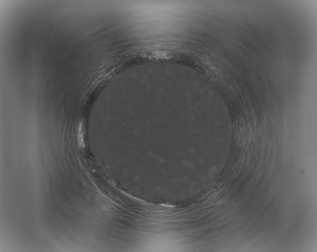 X0000066120747200603311535