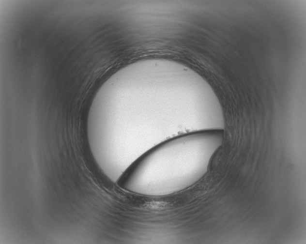 X0000066120748200603311535