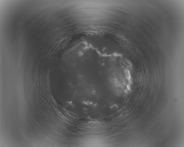 X0000066120749200603311535