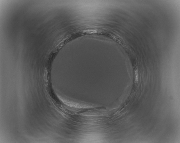 X0000066120750200603311535