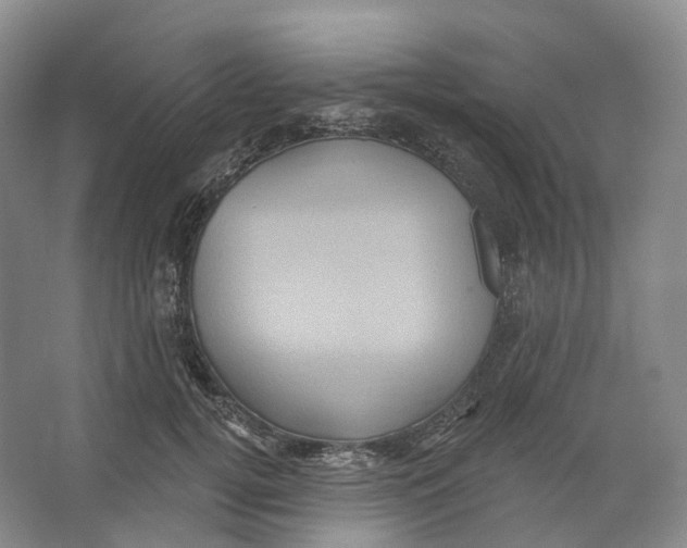 X0000066120752200603311535