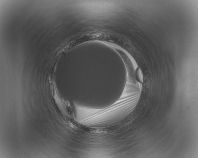 X0000066120754200603311535