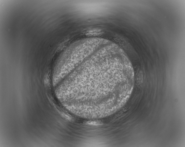 X0000066120755200603311535