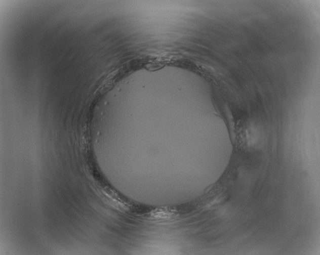 X0000066120756200603311535