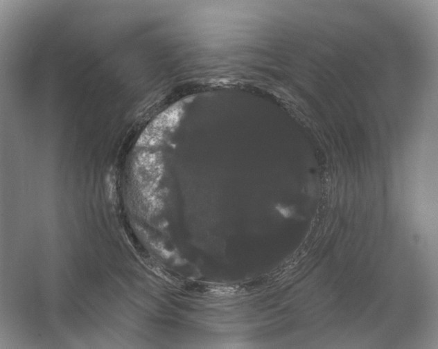 X0000066120757200603311535