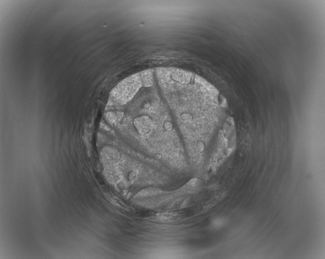 X0000066120758200603311535