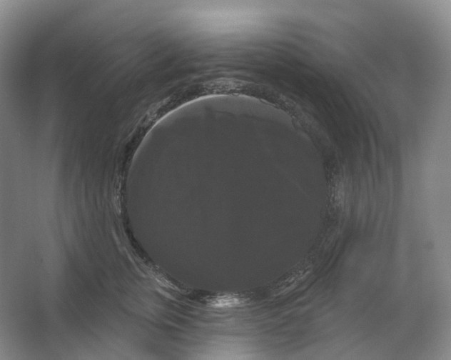 X0000066120759200603311535