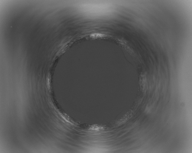 X0000066120760200603311535