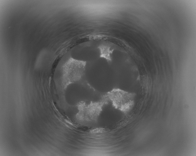 X0000066120761200603311535