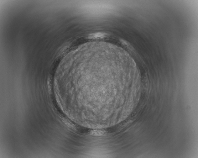 X0000066120762200603311535