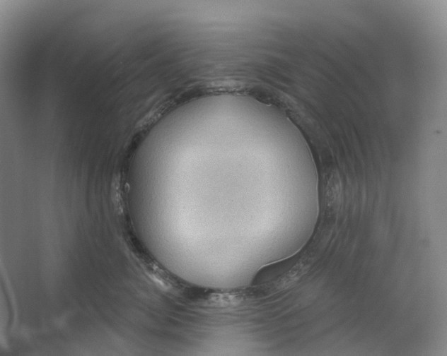 X0000066120764200603311535