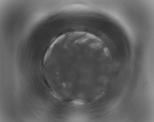 X0000066120765200603311535