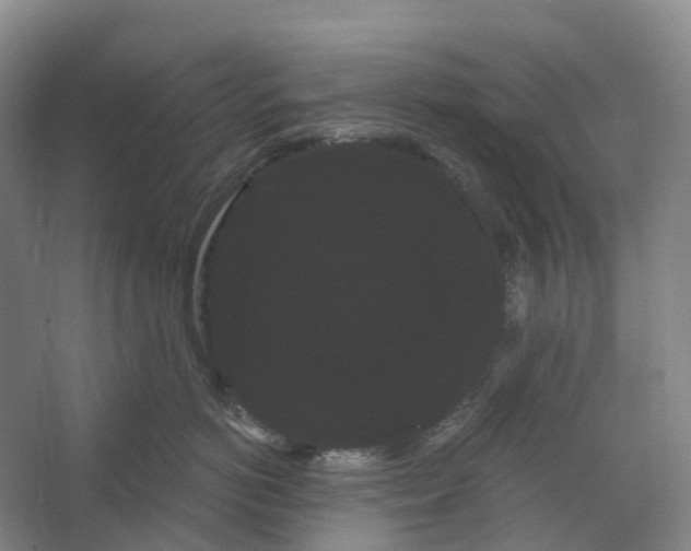 X0000066120766200603311535