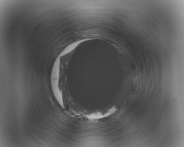 X0000066120767200603311535