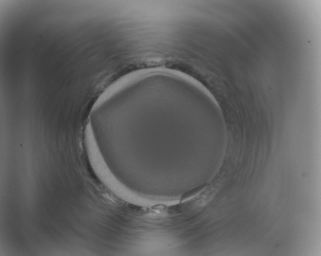 X0000066120768200603311535