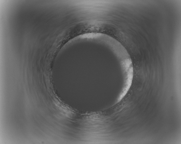 X0000066120769200603311535