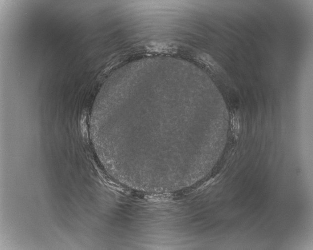 X0000066120770200603311535