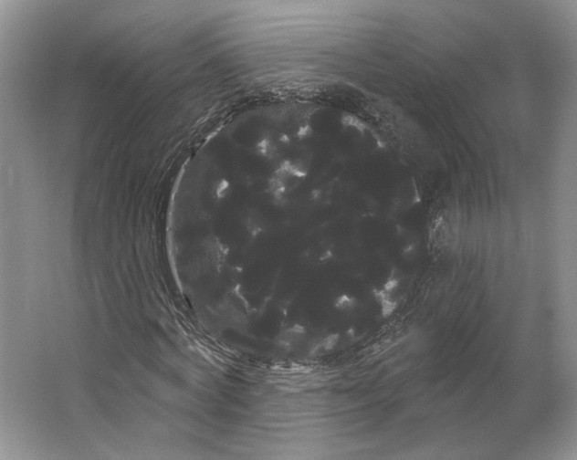 X0000066120772200603311535