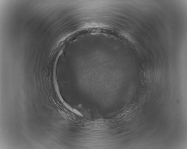 X0000066120775200603311535