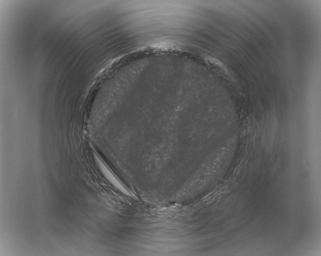 X0000066120776200603311534