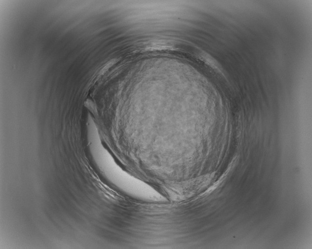 X0000066120777200603311534