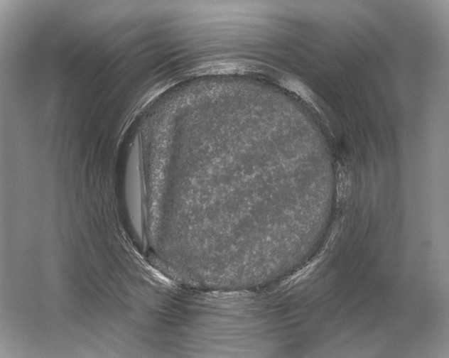 X0000066120778200603311534