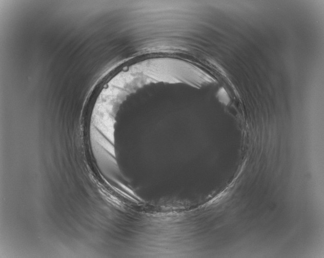 X0000066120779200603311534