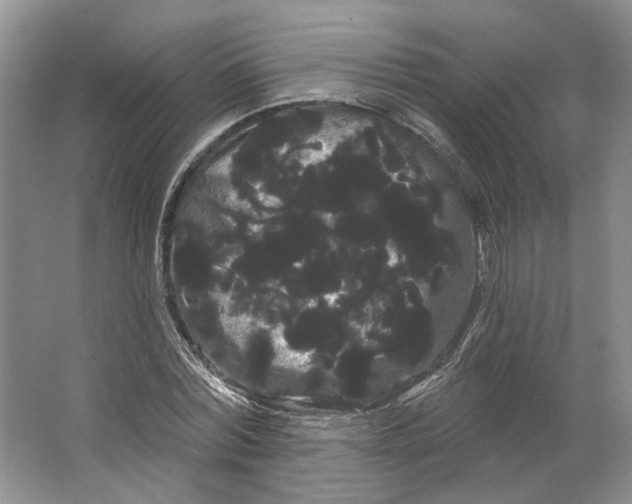 X0000066120780200603311534