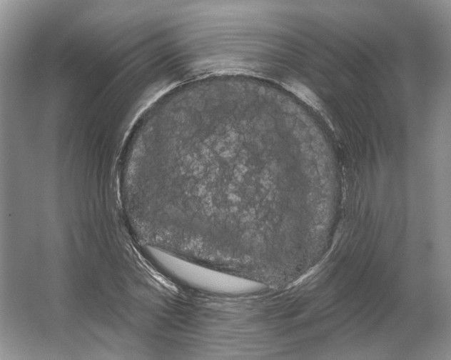 X0000066120782200603311534