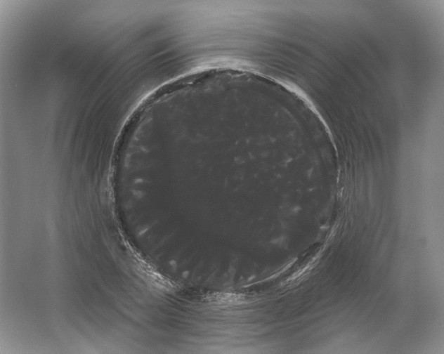 X0000066120783200603311534