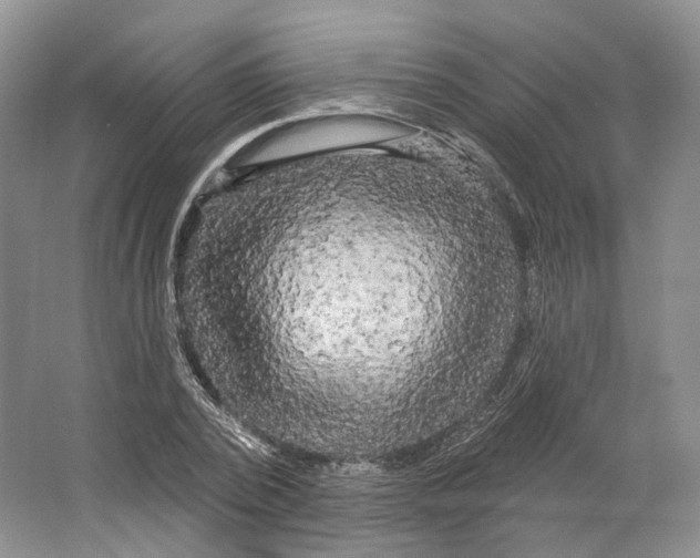 X0000066120784200603311534