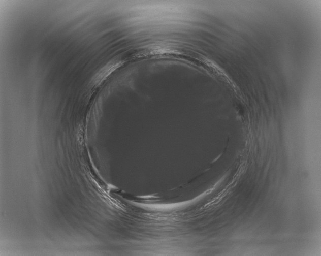 X0000066120785200603311534