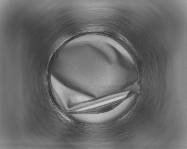 X0000066120786200603311534