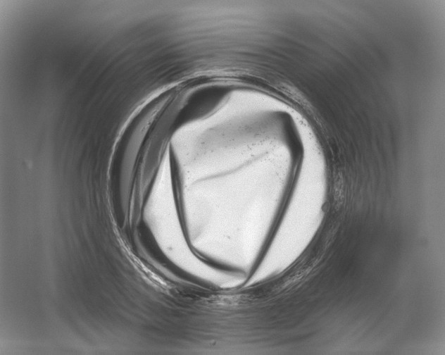 X0000066120787200603311534