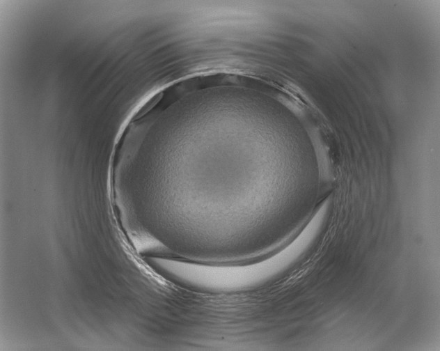 X0000066120788200603311534