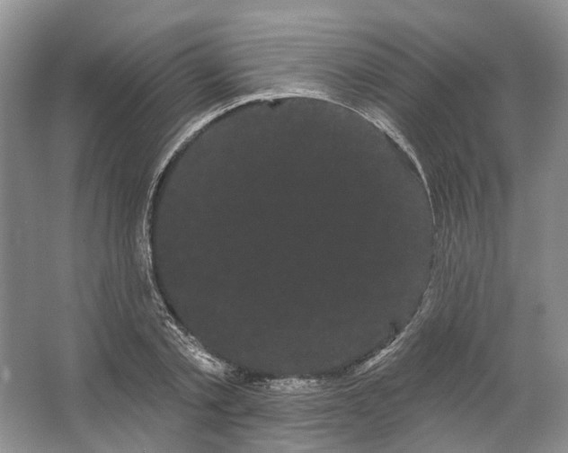 X0000066120789200603311534