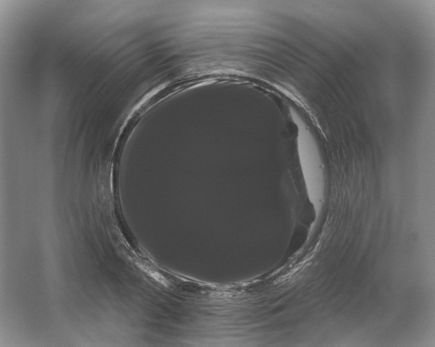 X0000066120790200603311534