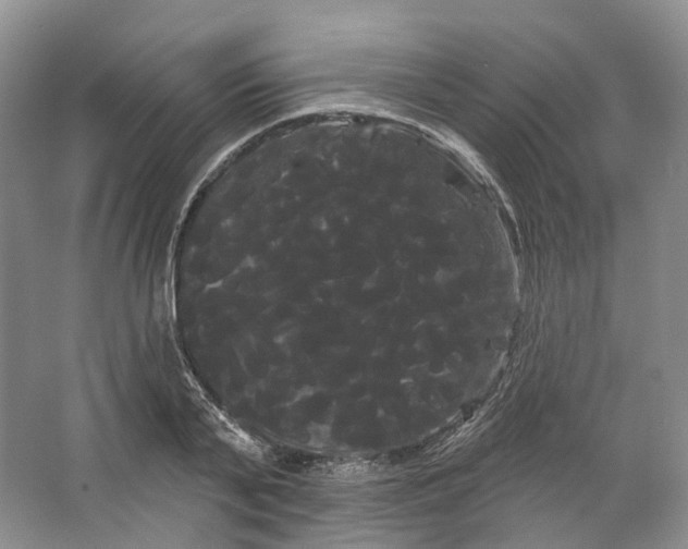 X0000066120791200603311534