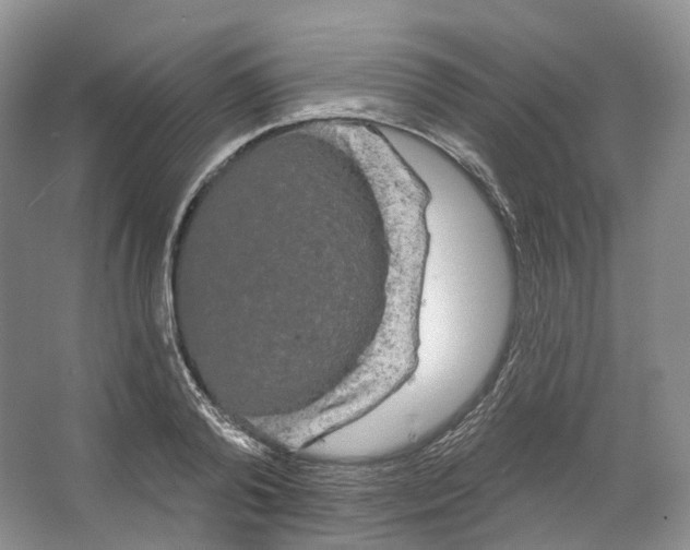 X0000066120792200603311534