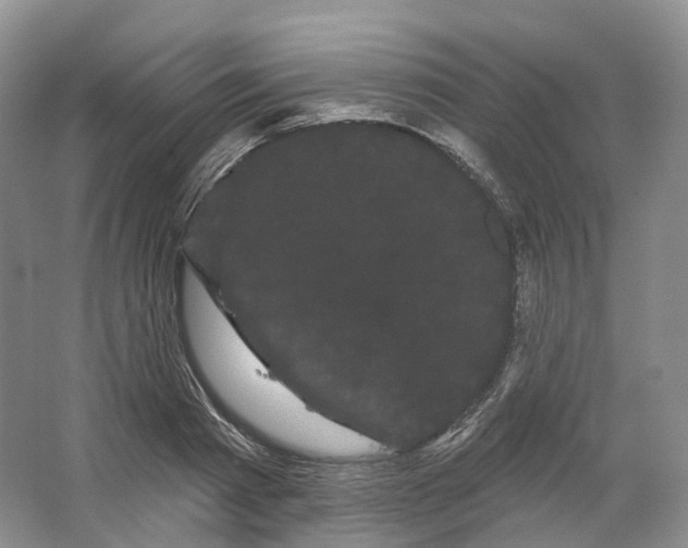 X0000066120793200603311534