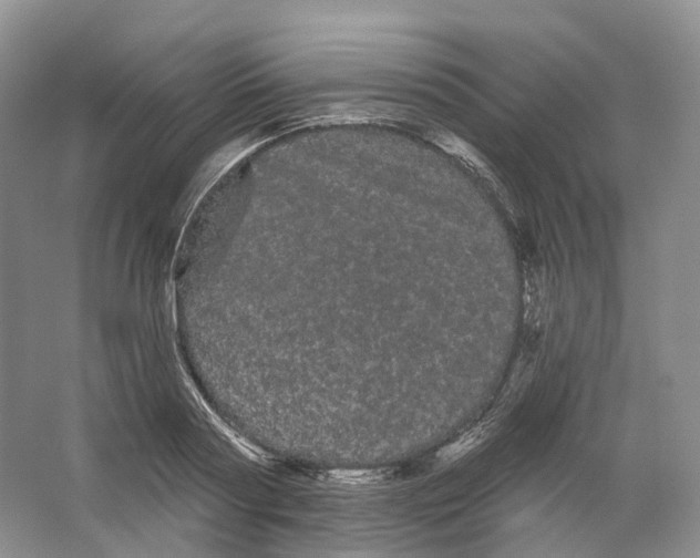 X0000066120794200603311534