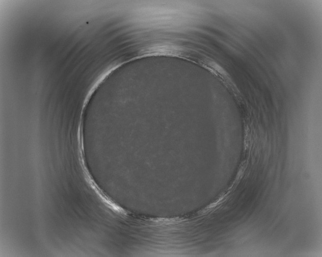 X0000066120796200603311534