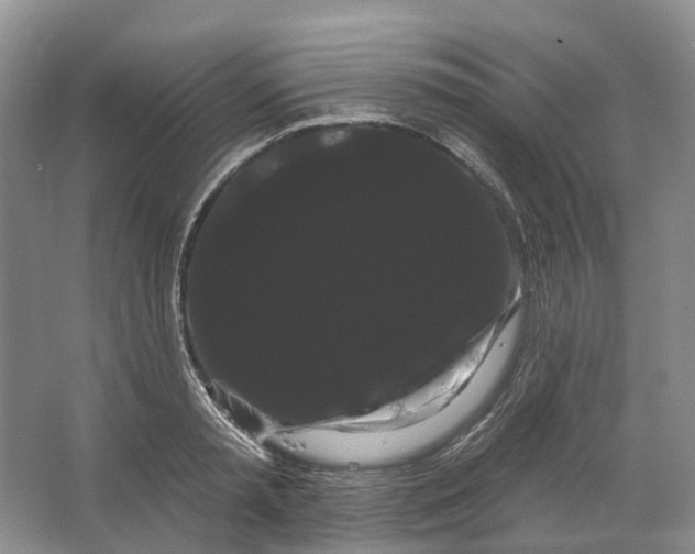 X0000066120797200603311534